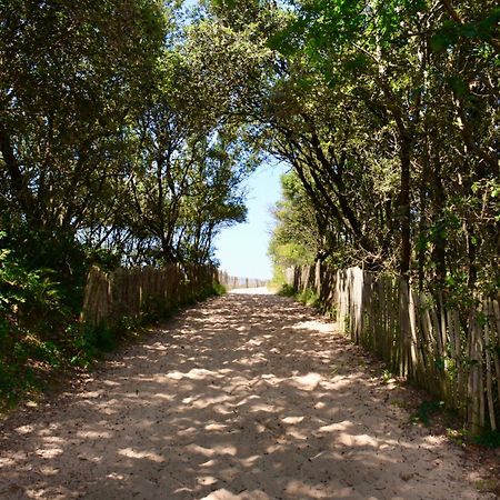 Camping Le Clos Des Pins Longeville-sur-Mer Dış mekan fotoğraf