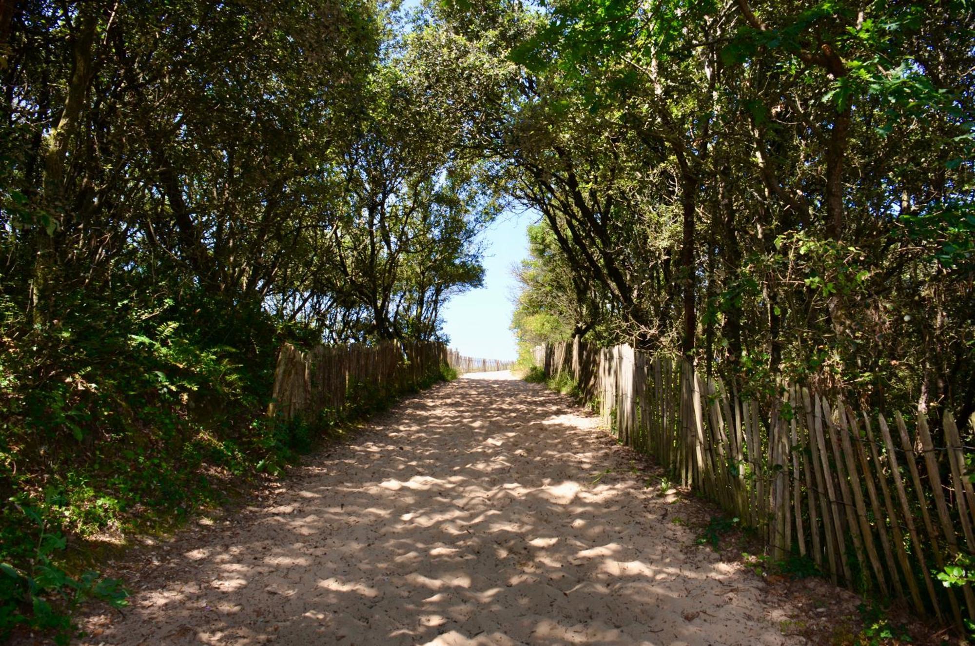 Camping Le Clos Des Pins Longeville-sur-Mer Dış mekan fotoğraf